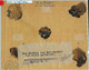 94189 -  DANZIG - POSTAL HISTORY - All OVERPRINTED STAMPS On COVER  1920 - Besatzungszeit