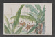 JAPAN WWII Military Japanese Soldier Picture Postcard SOUTH CHINA WW2 MANCHURIA CHINE MANDCHOUKOUO JAPON GIAPPONE - 1943-45 Shanghái & Nankín