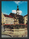 (3001) AK Sulzbach-Rosenberg - Löwenbrunnen Am Luitpoldplatz - Sulzbach-Rosenberg