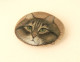 Norwegian Forest Cat Hand Painted On A Spanish Beach Stone Paperweight Decoration - Briefbeschwerer