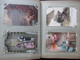 Delcampe - ALBUM DE +/- 200 CP (V2022) FANTAISIE (53 Vues) Humour, Militaria, Nu, Fantaisie, Animaux, Fleur ... Toutes Présentées - 100 - 499 Postales