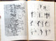 Delcampe - Livre Relié - Recueil De Revues: 1 L'Illustration 1892 (Tome XCIX) De Janvier à Juin - Revues Anciennes - Avant 1900