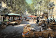 DRAGUIGNAN - Les Marchés De Provence - Draguignan