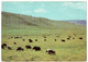 Mongolei - Mongolia