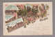 AK DE N.S. Uelzen 1898-03-22 Litho - Uelzen