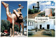 (Q 11 A) Australia -  WA - Coolgardie (with Camel Statue) - Kalgoorlie / Coolgardie