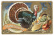 THANKSGIVING Greeting Color Litho Embossed C. 1908 - Giorno Del Ringraziamento