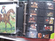 Anno 1890 ,  More Than 300 Dif. Chromos  SCRAPS MAP 01 Horses & Donkeys Burro GLANS BILDER, Découpis, Oblaten, Die Cut - Animales