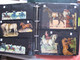 Delcampe - Anno 1890 ,  More Than 300 Dif. Chromos  SCRAPS MAP 01 Horses & Donkeys Burro GLANS BILDER, Découpis, Oblaten, Die Cut - Animaux