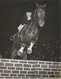 Photographie M. Bertrand , CHANTILLY , Signée , Sports, Sport Equestre , Saut D'obstacle , 240 X 182 Mm , Frais Fr 1.95e - Sports