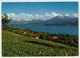 SEMPACHERSEE  MIT  ALPEN         2  SCAN      (VIAGGIATA) - Sempach