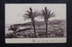 PORTUGAL - Affranchissement De Funchal Sur Carte Postale Pour Bruxelles En 1903 Via Lisbonne - L 72293 - Funchal
