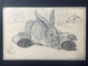 SWITZERLAND 1920 Postcard Zurich To Berne With Hand Pencilled Illustration Of Rabbit - Covers & Documents