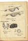 1954 - COURS DE SCIENCES NATURELLES -GEOLOGIE - De L'Ecole Universelle Par Correspondance De Paris - 18 Ans Et Plus