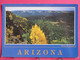 Visuel Très Peu Courant - USA - White Mountains - Northern Arizona - Excellent état - Recto-verso - Autres & Non Classés