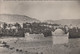 Algérie - Bou Saâda "Cité Du Bonheur" - Vue De L'Oasis - 1952 - M'Sila