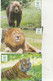 Zoo Thoiry 2020    Serie De 7 Animaux     3 SCAN MINT - Löwen