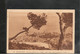 1-4-1927 CARTE POSTALE DE MONACO ( VUE DE LA ROUTE DE LA TURBIE) POUR LA SUISSE - Cartas & Documentos