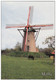 Grote Kaart Westmalle Scherpenbergmolen Stenen Bergmolen Beltmolen Malle Windmolen Molen Windmill Moulin A Vent - Malle