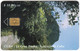 CUBA A-320 Chip Etecsa - Landscape, Forest - Used - Cuba