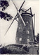 Oelegem Ranst Stenen Windmolen - Ranst