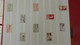 Delcampe - M23 Collection De Timbres ** Années 40 à 60 Dont Bonnes Petites Valeurs. Côte Très Sympa !!! - Verzamelingen (in Albums)