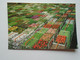 D173982 Netherlands  Lot Of  2 Postcards AALSMEER - Aalsmeer