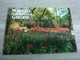 Magnolia Plantation And Gardens - Cp6651 -Editions Charleston - Année 1993 - - Charleston