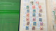 Delcampe - Lot N° TH 585 MONDE Dont Colonies Un Lot De 3 Classeurs Nombreux Neufs Xx - Collections (with Albums)