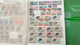 Delcampe - Lot N° TH 585 MONDE Dont Colonies Un Lot De 3 Classeurs Nombreux Neufs Xx - Collections (with Albums)
