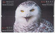 BIRD OWL 12 PUZZLES OF 48 CARDS - Uilen
