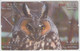 BIRD OWL 12 PUZZLES OF 48 CARDS - Hiboux & Chouettes