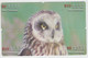 BIRD OWL 12 PUZZLES OF 48 CARDS - Búhos, Lechuza
