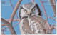 Delcampe - BIRD OWL 12 PUZZLES OF 48 CARDS - Uilen