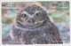 Delcampe - BIRD OWL 12 PUZZLES OF 48 CARDS - Uilen