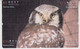 Delcampe - BIRD OWL 12 PUZZLES OF 48 CARDS - Gufi E Civette