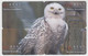 Delcampe - BIRD OWL 12 PUZZLES OF 48 CARDS - Hiboux & Chouettes