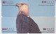 ISRAEL BIRD EAGLE 6 PUZZLES OF 24 CARDS - Arenden & Roofvogels