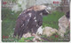 Delcampe - ISRAEL BIRD EAGLE 6 PUZZLES OF 24 CARDS - Eagles & Birds Of Prey