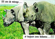 Rhinocéros  2 Ans De Mariage Et Toujours Avec Bobonne  1970 - Rinoceronte