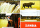 Zambia  1980  Victoria Falls   Musi-o- Tunya  Intercontinental Hotel - Zambia