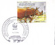 RHINOCEROS-GREATER SINGLE HORNED FROM ASSAM, INDIA-2x SPECIAL COVERS-ERROR-INDIA-2016-FC2-107 - Rhinoceros