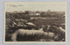 Postcard - Nieuwpoort / Nieuport - Panorama (DEL18) - Nieuwpoort