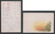 JAPAN WWII Military Field Picture Postcard North China 36th Division Infantry 224th Regiment CHINE WW2 JAPON GIAPPONE - 1941-45 Nordchina