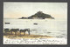 St Michaels Mount, Penzance (6549) - St Michael's Mount