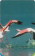 S. Africa - MTN - Flamingos Flying Puzzle 3/4, SC7, R15, 01.2001, 100.000ex, Used - Suráfrica