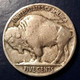 USA 5 Cents 1927 - 1913-1938: Buffalo