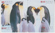 BIRD PINGUIN 20 PUZZLES OF 80 CARDS - Pingueinos