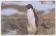 Delcampe - BIRD PINGUIN 20 PUZZLES OF 80 CARDS - Pingueinos