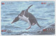 Delcampe - BIRD PINGUIN 20 PUZZLES OF 80 CARDS - Pingueinos